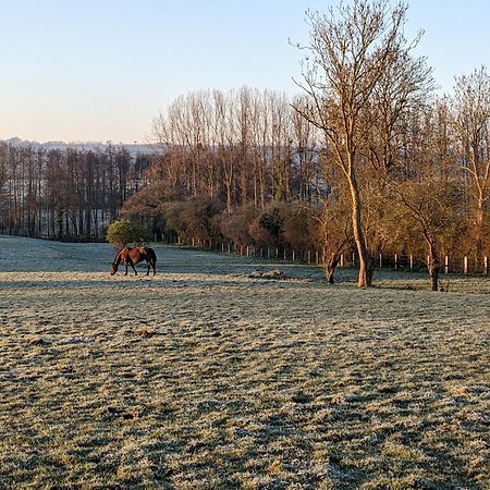 ホテル Le Haras D Havetot アンクトヴィル エクステリア 写真
